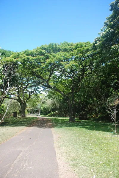 2007_05_30_HAWAII (79) (Large).JPG
